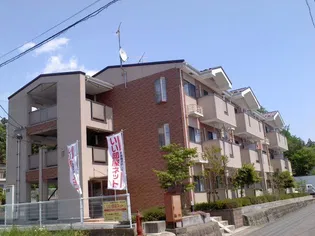 福島県伊達郡川俣町大字鶴沢字西ノ内【マンション】の外観
