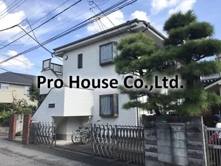 ルピナス竹森の画像