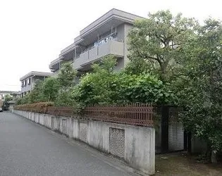 プレイス アイズの画像