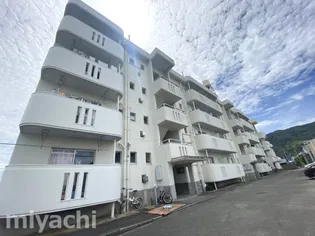 八番町リバーハイツの画像