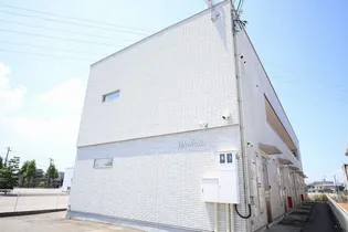 MAHALOの画像
