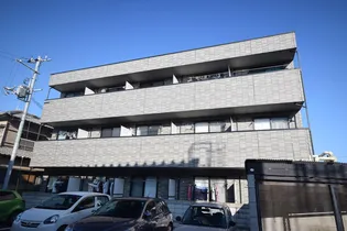 アンプルールフェールREALIFE2の画像