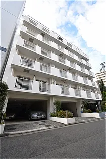 セザール藤沢の画像