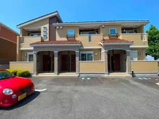 ステラ ルーチェの画像