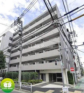 パティーナ菊川の画像