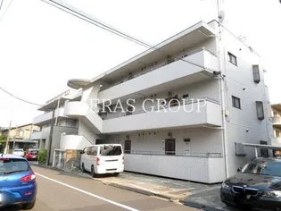 カルミヤの画像