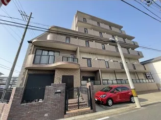 シャルマンMKの画像