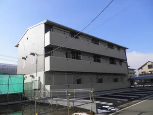 オーパスの画像