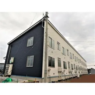 クァットウルの画像