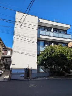 APEXシフォンの画像