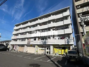 エレガンシア21の画像