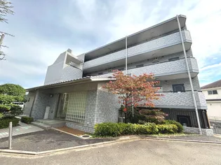 C'S28 KOYATAの画像