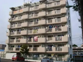 第16ユーセードムスの画像