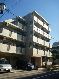 セジョリ志村坂上の画像