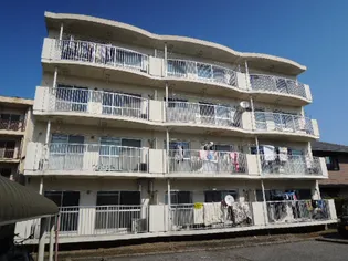 サンボナールの画像