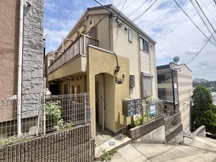 ロッキートップの画像