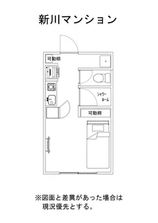 新川マンション【3階】の間取り