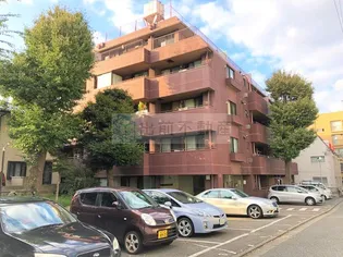 プラザ ルミエールの画像