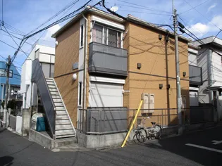 ステラコートの画像