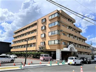 アペックス開発【4階】の外観