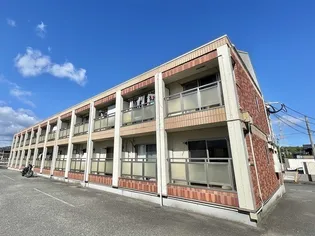 プラムの森の画像