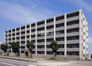 プラスペリティの画像