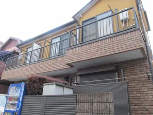 グレースツガの画像