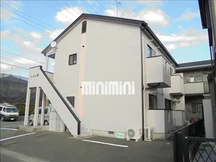 コータス葵の画像