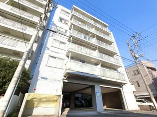 藤ハイムの画像