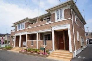 エヴァーグリーンAの画像