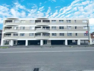 ステラ プレミアムの画像