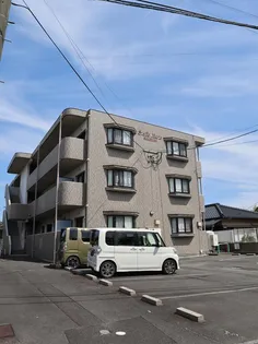 ステラマリスの画像