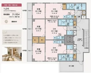 カンファタブル緑が丘II【2階】の間取り