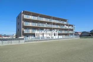 グレイス丹羽の画像