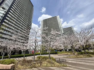 リヴァリエA棟の画像