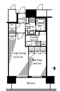 パークシティ武蔵小杉 ミッドスカイタワー【43階】の間取り