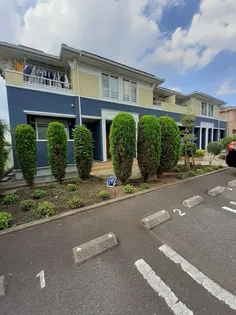 BRISA DESPACIOIの画像