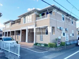NOVAの画像