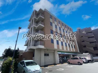 SAKURACOCOROの画像