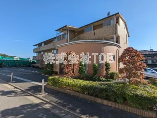 エルミタージュの画像