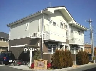 コスモスサンライトAの画像