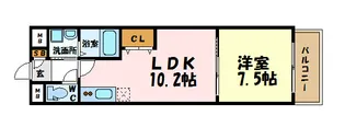 マルティーノ新栄【7階】の間取り