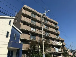 T'S GARDEN柏の画像