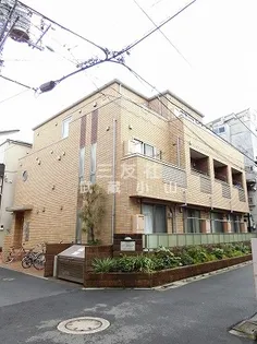 メゾンカトレア【1階】の外観