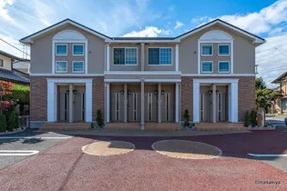 花みずきの画像