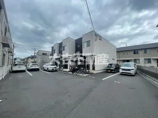 ARVITA NORTHの画像