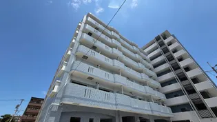 山王パルサーマンション【5階】の外観