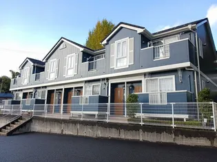 サン グレイスの画像