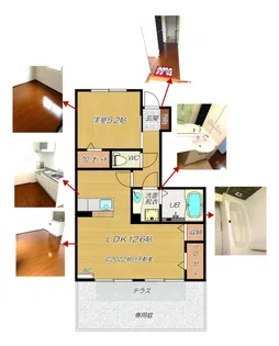 パルティール【1階】の間取り