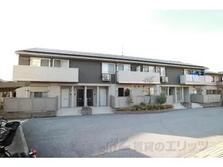 ルミエールの画像